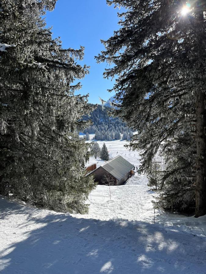 Chamrousse Appart 8 Personnes Au Pied Des Pistes Esterno foto