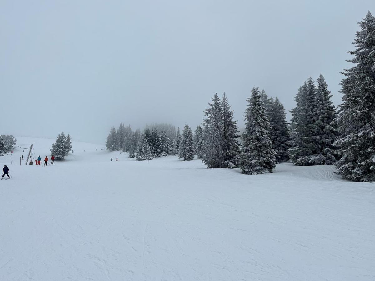 Chamrousse Appart 8 Personnes Au Pied Des Pistes Esterno foto