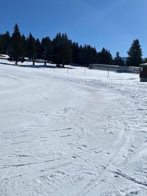 Chamrousse Appart 8 Personnes Au Pied Des Pistes Esterno foto